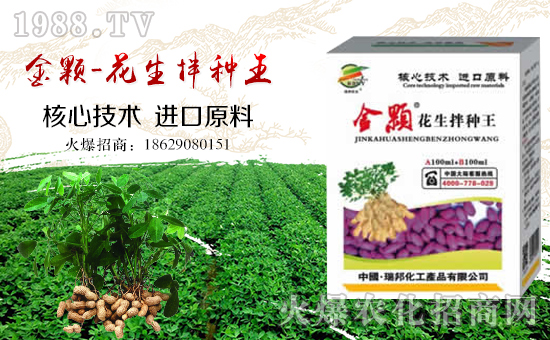 ��������ףȫ��(gu��)�����´������f(w��n)�����⣡