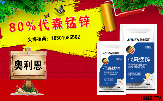 �����W������ף������µ�һ���﹤�����������������