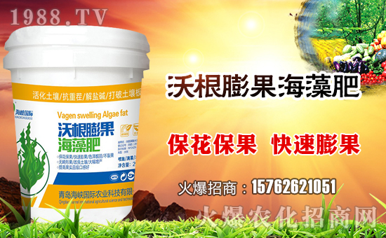 �����{��Ұ��ףȫ�������i��󼪣��f��������