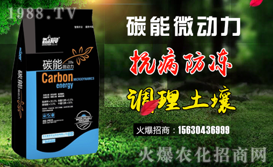     ������r(n��ng)�I(y��)��ףȫ��(gu��)�������w�������f(w��n)�����⣡