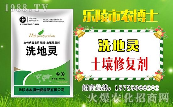 ���r(n��ng)��ʿ��ף���2019��������\(y��n)�������ո�������