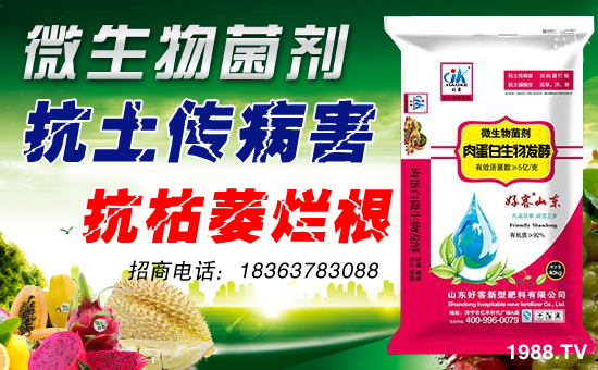 ��ɽ�|�ÿ͡�ף�����������w�������f�����⣡