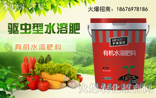 ���o�����H��ȫ�w�T��ף�V���r(n��ng)�Y���т�����(ji��)������Ҹ����M��