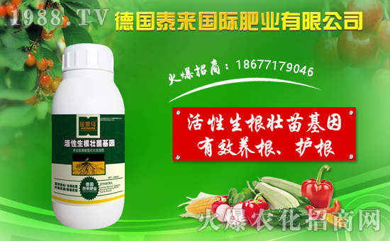 ��̩����H��ף������µ�һ����ؔ�\�L�L�������d¡��