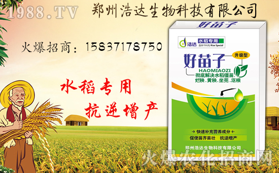 �����_(d��)�����ף������������옷�����i���������