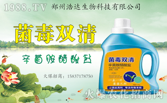 �����_(d��)�����ף������������옷�����i���������