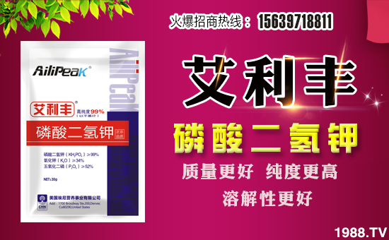 ���Խ�r(n��ng)�I(y��)��ף������µ�һ����ؔ(c��i)�\(y��n)�L�L������������