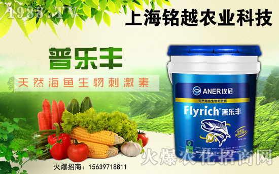 ���Խ�r(n��ng)�I(y��)��ף������µ�һ����ؔ(c��i)�\(y��n)�L�L������������