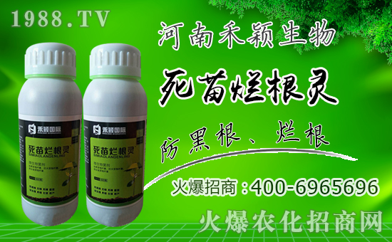 ���̷f���ף������µ�һ���������d¡���f��������