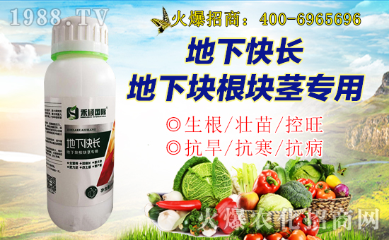 ���̷f���ף������µ�һ���������d¡���f�����⣡