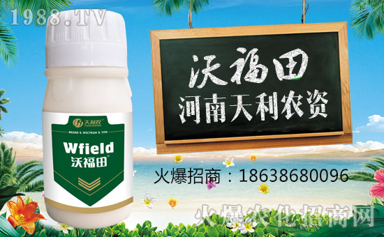 �������r(n��ng)�Y��ףԸһ·�������т����w�������i�꼪����