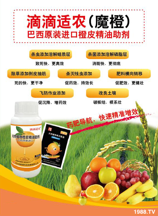 ���ӱ������á���ף��������������i���д��\(y��n)��