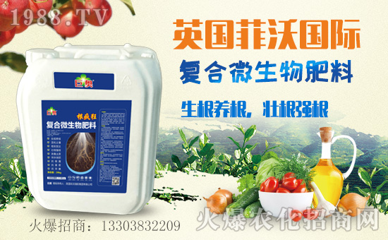     ��Ӣ��(gu��)���և�(gu��)�H��ף����µ�һ������¶����Ц�ݶ����