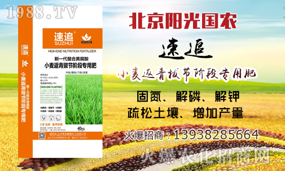     ��ꖹ���r(n��ng)��ף������µ�һ�������w�������H�Қg����