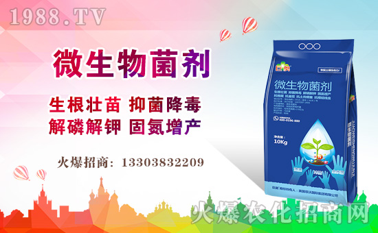 ��Ӣ��(gu��)���և�(gu��)�H��ף����µ�һ������¶�࣡Ц�ݶ����