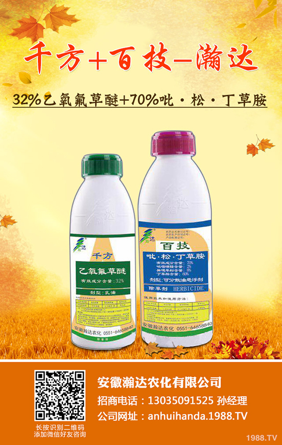     ��������_(d��)�r(n��ng)������ף������w�������H���Ҹ����i�����