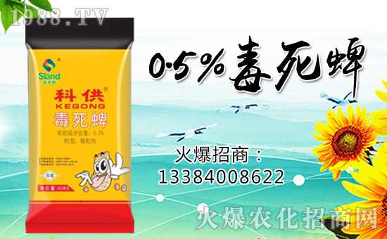 �����ɽ��r(n��ng)�I(y��)��ף������µ�һ���������³�������������