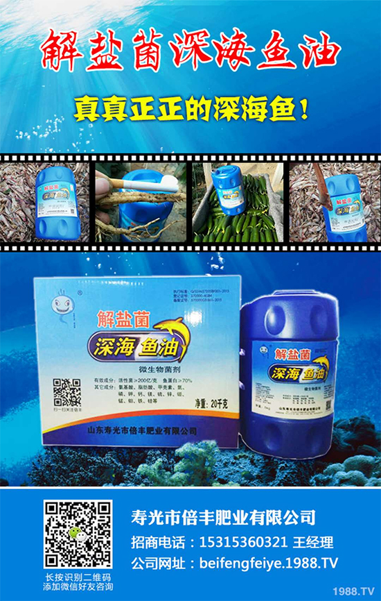 ���۹ⱶ�S�ʘI(y��)��ף��������µ�һ�����_������f��������