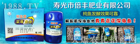 ���۹ⱶ�S�ʘI(y��)��ף��������µ�һ�����_������f��������