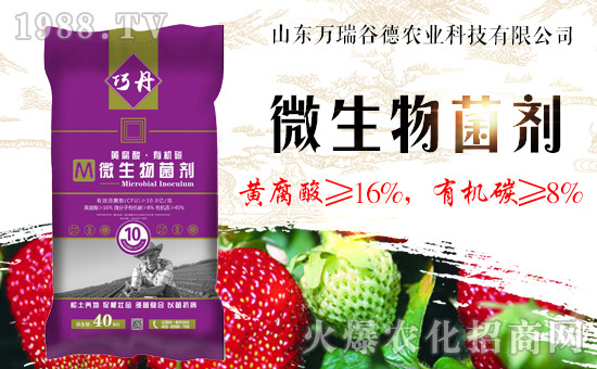 ��ɽ�|�f��ȵ¡�ף������µ�һ�����I(y��)�г�������������