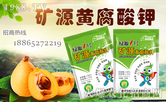 ���Ƅ�(chu��ng)�r(n��ng)�I(y��)��ȫ�w�T����ףȫ��(gu��)��(j��ng)�N(xi��o)�����w�������i���д��\(y��n)��