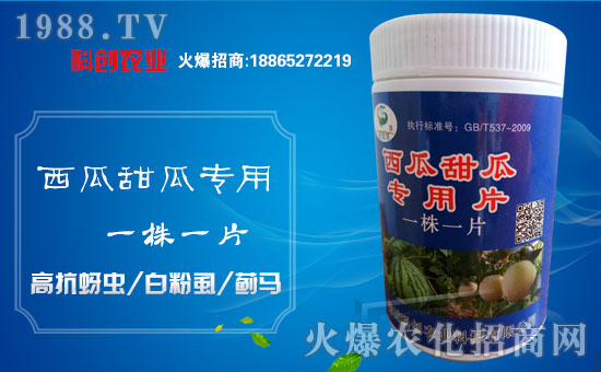 ���Ƅ�(chu��ng)�r(n��ng)�I(y��)��ȫ�w�T����ףȫ��(gu��)��(j��ng)�N(xi��o)�����w�������i���д��\(y��n)��