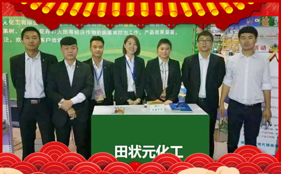 �����Ԫ������ףȫ����(j��ng)�N���i������f��������