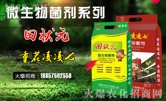 �����Ԫ������ףȫ����(j��ng)�N���i������f��������