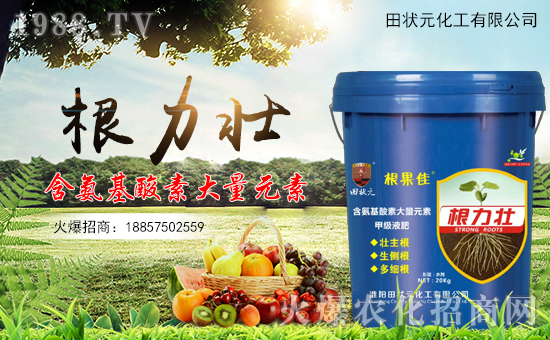 �����Ԫ������ףȫ����(j��ng)�N���i������f�����⣡