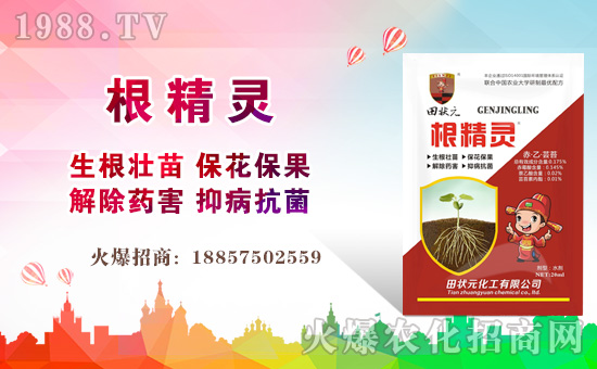 �����Ԫ������ףȫ����(j��ng)�N���i������f��������