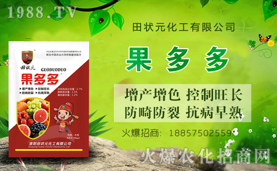 �����Ԫ������ףȫ����(j��ng)�N���i������f�����⣡