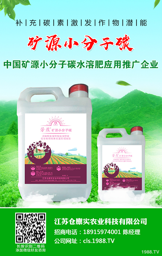 馬鈴薯爆發(fā)晚疫病怎么辦?馬鈴薯晚疫病防治方法!