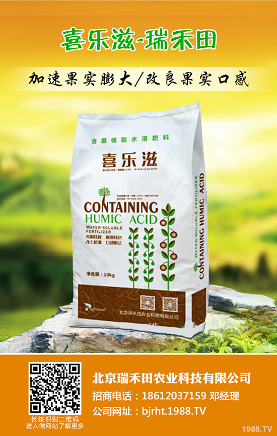 大蒜什么時候種植，大蒜種植方法是什么？