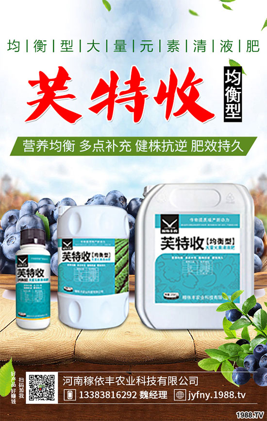 陽臺上能種植上海青嗎？該注意什么？陽臺上種植上海青的注意事項