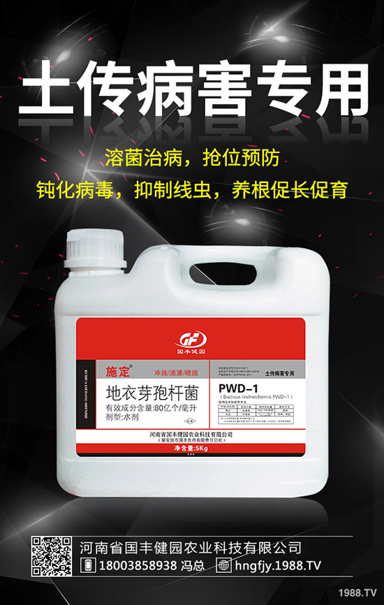 小麥除草劑什么時候打好,小麥打除草劑的時間及注意事項(xiàng)!