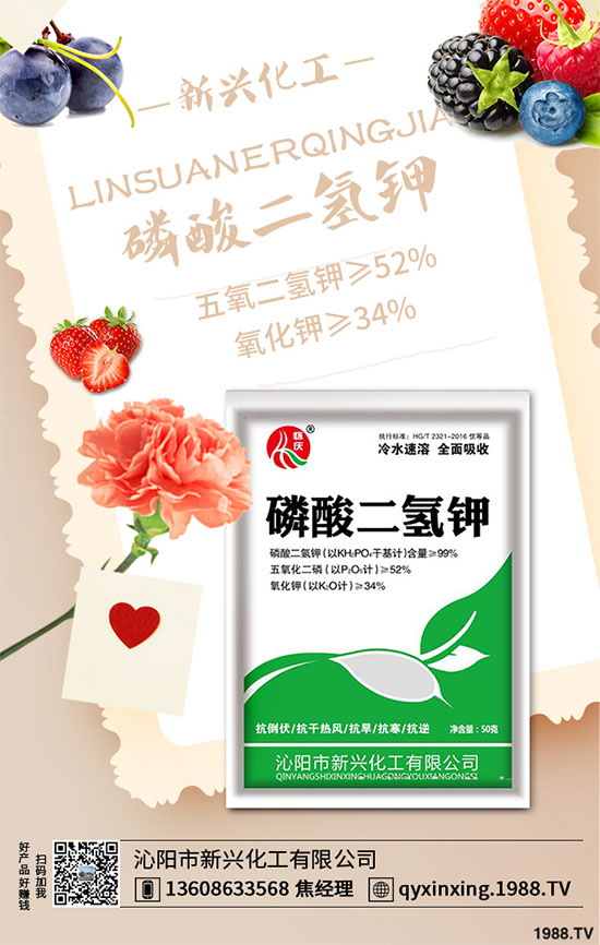 香蔥連作危害大，到底該如何解決？香蔥連作障礙及高產(chǎn)管理技術(shù)！