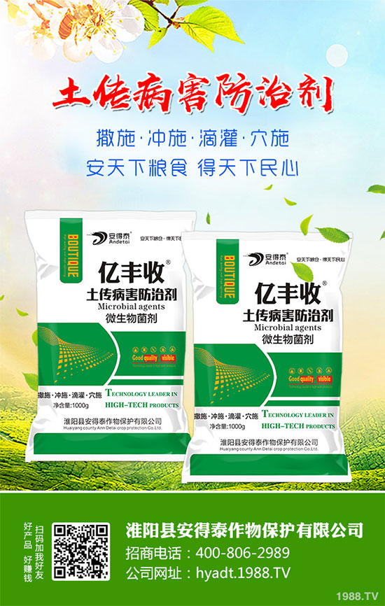 白蘿卜的功效與作用,白蘿卜營養(yǎng)價(jià)值!