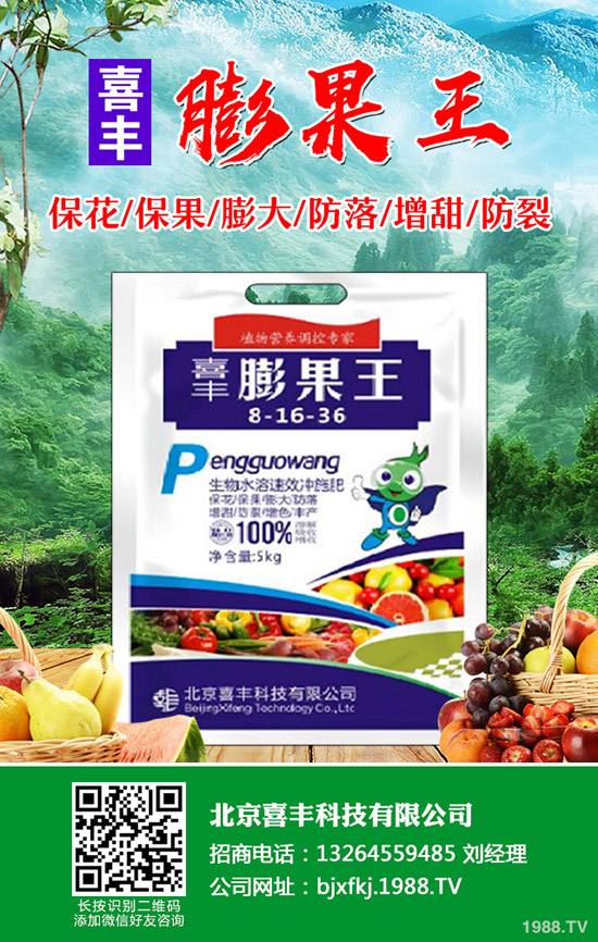 芹菜發(fā)芽慢怎么辦，芹菜催芽方法有哪些？