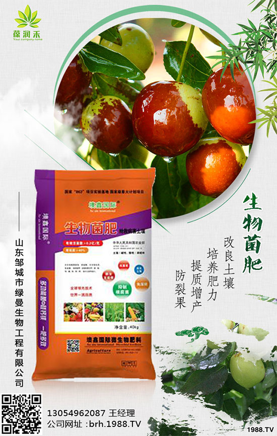 大棚西紅柿怎么栽培？大棚西紅柿高產(chǎn)栽培！