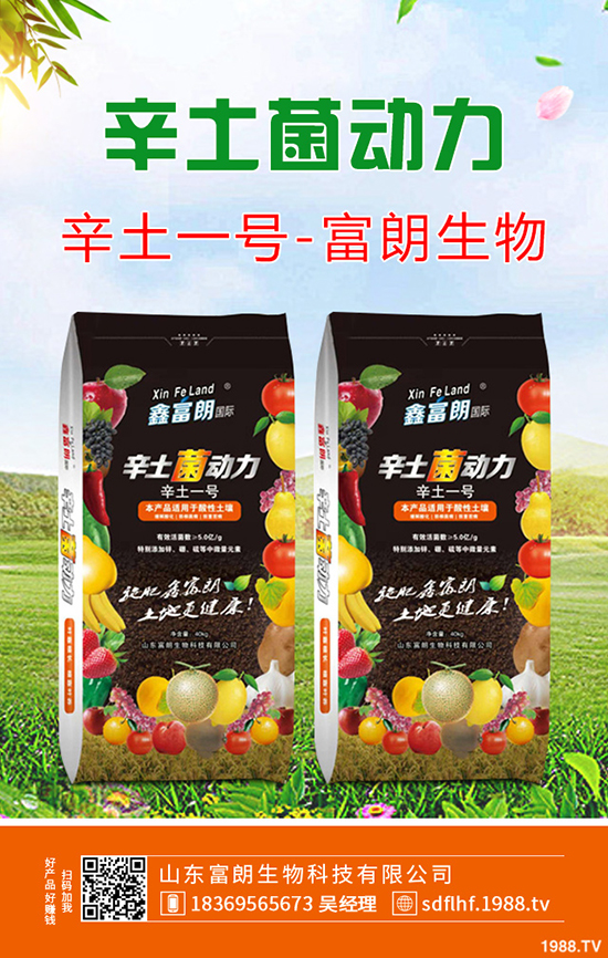 2019-10-19今日磷酸一銨市場產(chǎn)地價格行情日報