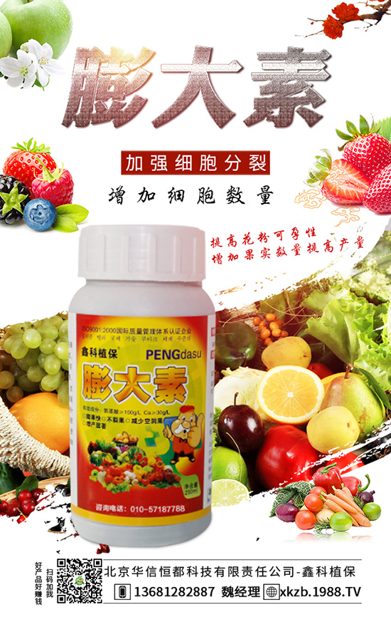 �����A�ź㶼�Ƽ�����؟(z��)�ι�˾-�ο�ֲ��