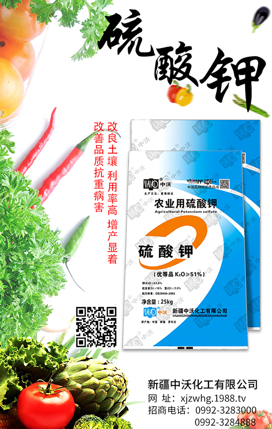 新疆中沃化工有限公司