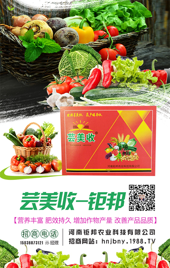 櫻桃蘿卜生長對(duì)環(huán)境條件要求，櫻桃蘿卜怎么施肥？