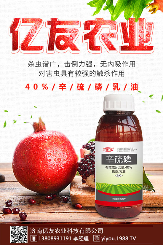 �D÷�N����ô�N���D÷�N�ӷNֲ������