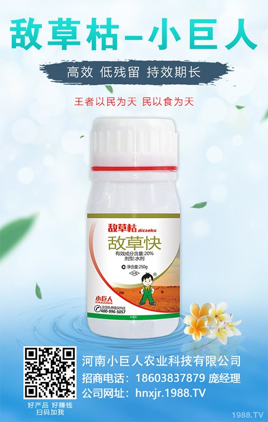 金銀花的種植技術?2020年金銀花種植前景分析