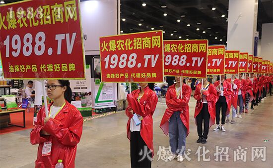 ǧ�̅R������Ʒ�Ƽ�|2019�����r(n��ng)����ʢ���_Ļ��