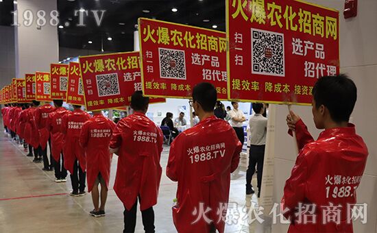 ǧ�̅R������Ʒ�Ƽ�|2019�����r(n��ng)����ʢ���_Ļ��