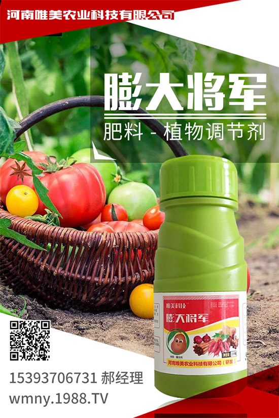 紫薯怎么種植？紫薯高產種植方法