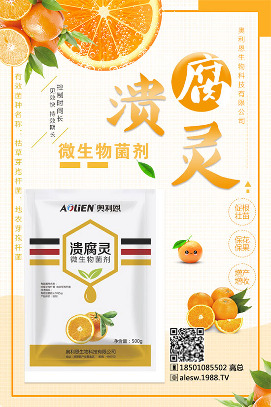 甘蔗什么時(shí)候種?甘蔗種植技術(shù)及種植條件