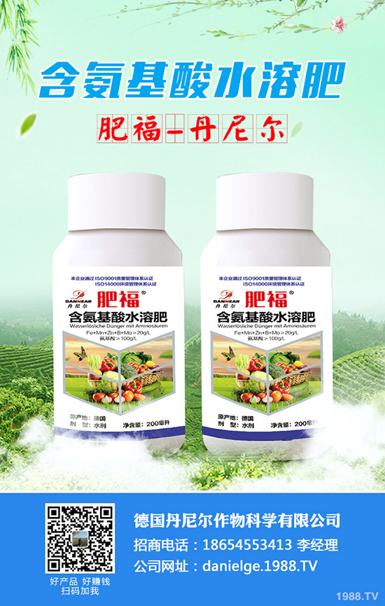 柚子的功效與作用，柚子的挑選方法！